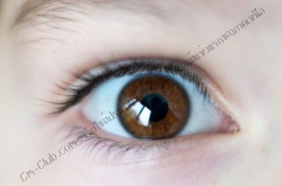 eye762b4d75e687879c.jpg