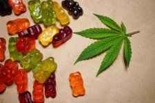 cbd9.jpg?part=0.jpg cbd9.jpg?part=0.jpg