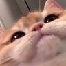ddd